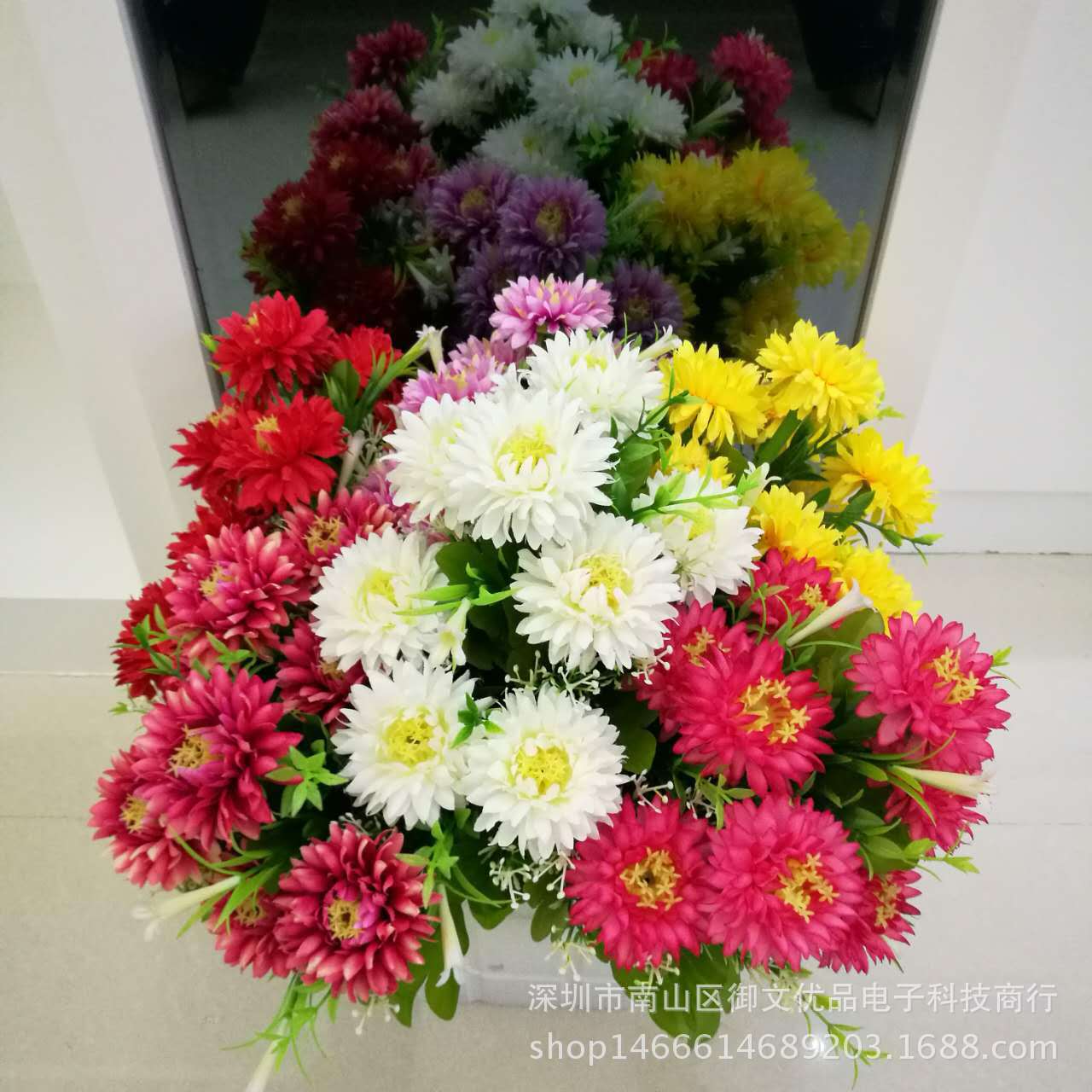 9头绿百合海葵 封面5