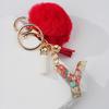 Llavero colgante con letra de pieza de fruta de resina transparente transfronteriza, llavero colgante de bola de pelo roja de moda personalizado