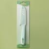 Cuchillo para fruta cuchillo de acero inoxidable regalo portátil para el hogar mango de plástico tienda de un yuan pelador de melón y fruta venta al por mayor de Yangjiang