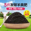 Maceta Cuadrada Negra Pequeña, Soporte para Macetas Multiusos, Cesta Organizadora, Bandeja para Cortar Hojas y Plantar Plántulas, Maceta para Plántulas, Caja de Almacenamiento y Organización para Invernadero