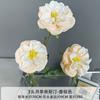 Nueva flor artificial de champán para el hogar, sala de estar, mesa de centro, exhibición de flores, boda, fondo de boda, decoración de pared, flor falsa