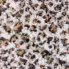 Tecido com Estampa de Urso Morango e Leopardo, Pelo Sintético de Coelho para Roupas, Bolsas, Sapatos e Chapéus