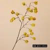 Novo Modelo de Fruta Lanterna Simulada, Buquê Doméstico de Alta Qualidade, Decoração Suave, Enfeites de Flores Artificiais, Adereços de Fotografia