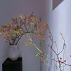 Ramas de Rosas Cortadas Frescas, Flores Frescas, Materiales Vegetales Hidropónicos para Arreglos Florales Caseros, Entrega Directa desde Yunnan Vía Sf Express