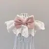 Serie Inocencia Gatuna Encaje Perro Babero Cuatro Estaciones Lindo Estilo Princesa Foto Perro Toalla de Saliva