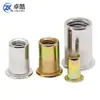 Tuerca Remachable de Cabeza Plana de Acero Inoxidable 304 Tuerca Remachable Moleteada Agujero Pasante Patrón Vertical Tuerca Remachable de Color Zinc M3M12