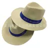 Suministro de todo tipo de sombrero de copa de franela sombrero de copa sombrero para el sol sombrero de tela y otros "ventas directas de fábrica"