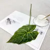 Planta Verde de Novo Produto Transfronteiriço Folha de Calla Folha de Begônia Folha de Taro Colorida Planta Guia de Corredor de Casamento Parede de Plantas Design Floral DIY