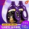 Detergente para Ropa Perfume Francés 5kg Fragancia Duradera Limpieza Profunda Quitamanchas Detergente para Ropa Lote al por Mayor Lavanda