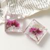 Primavera e verão novos flor real flor seca concha folha de prata patch diy transparente resina brincos mais capa de celular material atacado