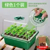 Bandeja para Plántulas de 12 Cavidades, Altura Ajustable, Transpirable, Conserva el Calor, Práctica, Jardinería, Siembra, Herramienta Retentora de Humedad, con Agujeros, para Cultivo