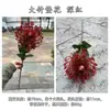 2023 Flor de simulación roja china para techo de boda fabricantes flor de simulación roja vino fondo de camino de boda flores artificiales al por mayor