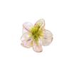 Presilha de Frangipani Colorida Doce de 4cm Venda Quente Transfronteiriça Acessório de Cabelo Doce Acessório de Cabeça Feminino Flor Acessórios de Cabelo Presilha de Cabelo Placa Atacado