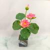 Simulación de nenúfar, loto, loto pequeño, flor falsa, Buda, salón, hogar, hotel, pecera, decoración, ingeniería, decoración, flor, venta al por mayor