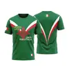 Camiseta de campanha eleitoral italiana personalizada promocional cultural uniforme de grupo fabricante