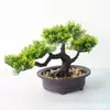 Ornamento de bonsai de pinho bem-vindo novo plantio de simulação chinês bonsai decorações de varanda de casa sala modelo de hotel