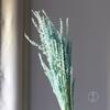 Lavanda Eterna Miosótis Cor Desbotada Cor de Sucção Pacote de Material de Buquê de Flores Secas Enfeites diy Tubo de Ensaio de Vidro Material de Flor Atacado