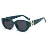 Gafas de sol de montura grande de carey para mujer, nuevo verano, moda de alta gama, gafas de sol versátiles, protector solar para hombre, celebridad de Internet, tendencia retro