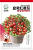 Semillas de Tomate Pequeño Semillas de Tomate Rojo Cereza Fruta en Maceta Semillas de Verdura Cuatro Estaciones