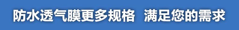 导语.jpg