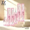 Pedido Jinze: Tubo Redondo de Lipstick de Doble Extremo, Tubo de Brillo Labial con Aplicador de Cepillo Grueso, Tubo de Barra de Polvo, Material de Empaque de Tubo Vacío de Plástico