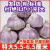 Alho fresco, alho de casca vermelha, alho grande seco, alho de casca roxa, preços com desconto, cabeças de alho de Shandong, atacado de Jinxiang