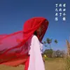 Estilo Tradicional Chino Velos de Hada Cortina Hanfu Sombrero Accesorio Elegante Cubre Rostro en Stock Cosplay Plegado