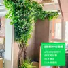 Folhas, galhos, videiras, flores artificiais, trepadeiras, canos, pilares, plantas trepadeiras, plantas verdes, plantas de parede, cobrindo imperfeições, decorações