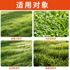 Herbicida para Plântulas de Ligustrum, Erica, Begônia e Outras Plantas Daninhas Semelhantes a Gramíneas