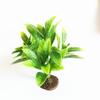 Modelo de Planta de Simulação Transfronteiriça Modelo de Muda Modelo de Árvore Micro Paisagem Planta Pequeno Bonsai