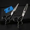 Fdms-12 Plata 6.0 Pulgadas 440C Forma Especial Tijeras de Peluquería Dimashi, Tijeras para Cortar el Cabello, Tijeras Planas, Tijeras para Flequillo