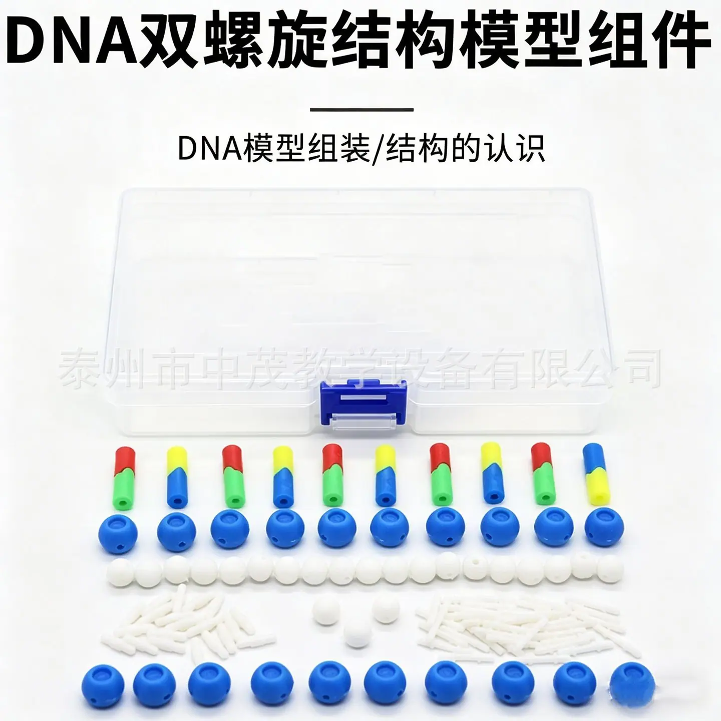 DNA (1).png