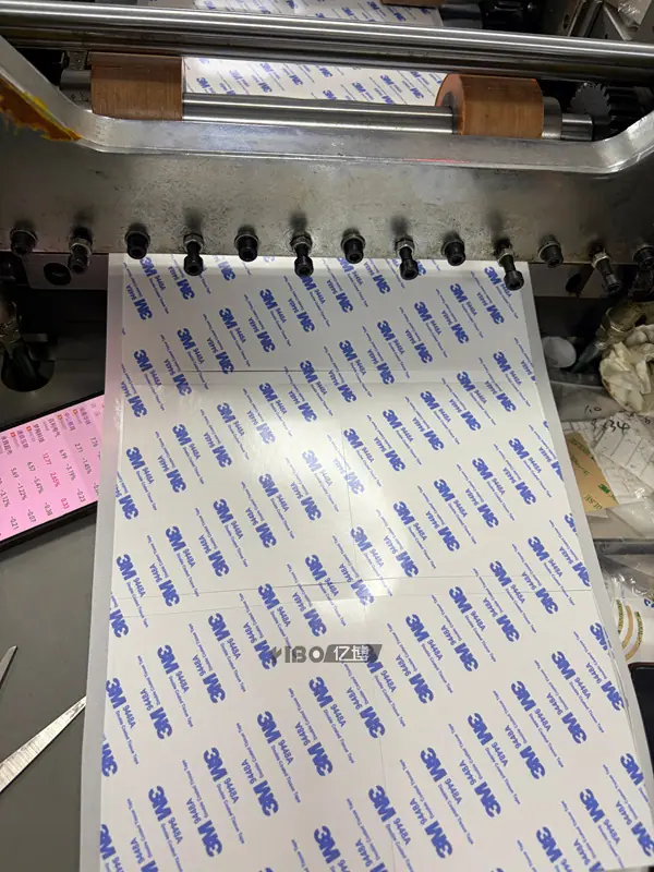 20260120397.jpg