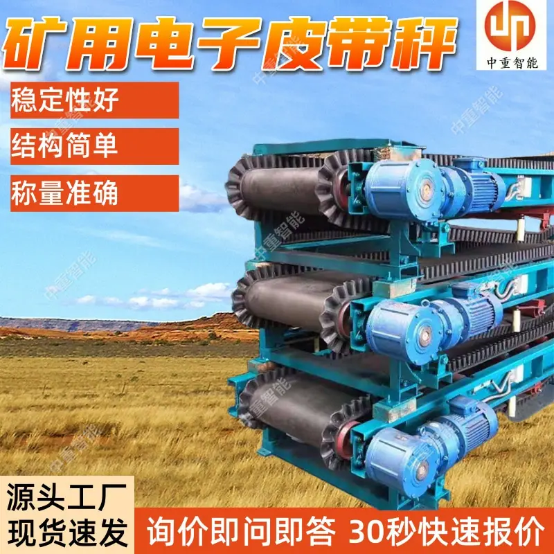 矿用电子皮带秤(2).jpg