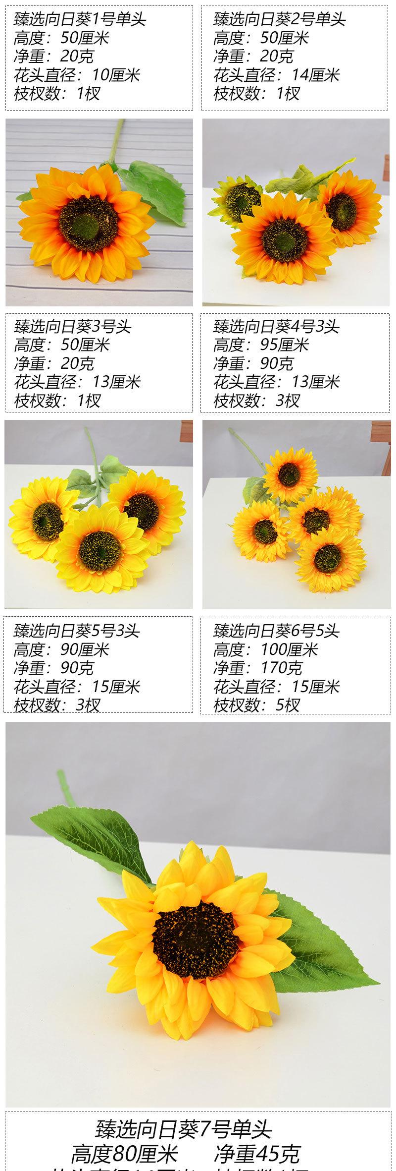 臻选向日葵_04.jpg