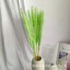 Atacado de junco branco pequeno junco cor de pastagem de pampas flor eterna Amazon para atacado de flor de junco