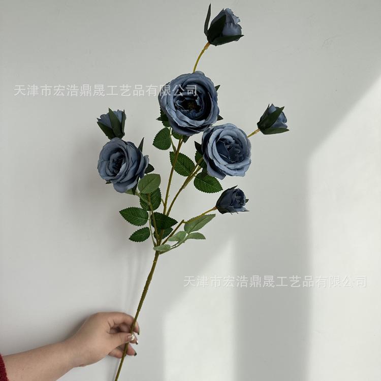 微信图片_202303091822234_副本