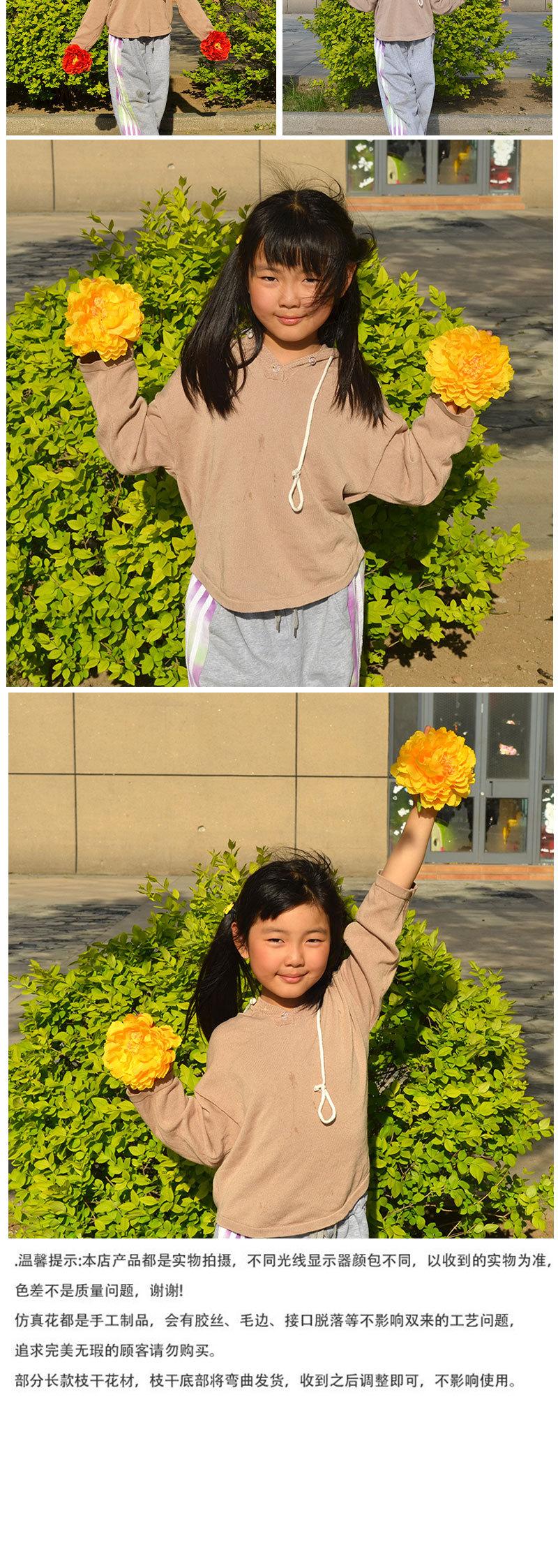 手花5号洛阳牡丹皮筋款_06.jpg
