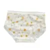 Ropa Interior Nueva de Encaje para Mujer Malla Cintura Media Sin Costuras Ultradelgada Fresca Transpirable Talla Grande Niña Estampada Bragas para Adultos
