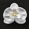 Materiais de Embalagem para Buquês Jemi, Suprimentos para Floristas, Embalagem Floral, Spray Corante à Base de Água, Tinta Spray, Spray para Flores