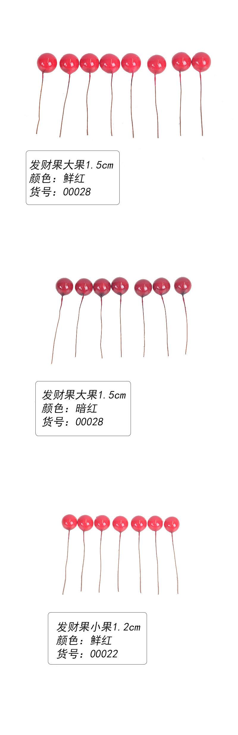 发财果_04.jpg