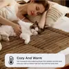 Cama para Gatos de Nuevo Estilo Transfronteriza Simple y Popular, Alfombrilla Cálida para Mascotas de Piel de Conejo, Adecuada Tanto para Gatos como para Perros, Venta Directa del Fabricante, en Stock