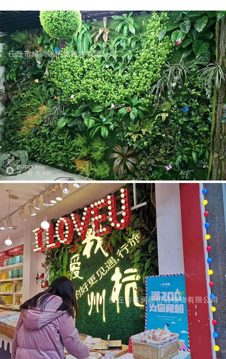 植物墙20180925版_04.jpg