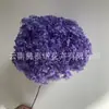 Flor Preservada Haste Única Hortênsia Anna Anna Folha Pequena Bella 40 Cores Personalizado Atacado Presente Dia dos Professores