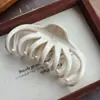 Pinza para el pelo de calabaza de PC de gran tamaño 13 cm transfronteriza para mujer con múltiples volúmenes de cabello en la parte posterior de la cabeza, pinza de tiburón, pinza agarradora elegante