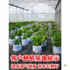 Bolsa de Cultivo de Tela No Tejida Bolsa para Semilleros de Venta Caliente Bolsa de Plantación para Vivero Maceta para Balcón Maceta Nutritiva Bolsa Engrosada para Plantar Árboles Fija