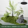 Musgo Sintético Decoración Suave para Interiores Conjunto de Micro Paisaje Combinación Exhibición en Ventana Pasillo Musgo Artificial Plantas Verdes Arreglo de Paisajismo Decoración