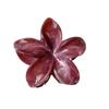 Menta de Verão Mambo Flor de Ovo Pinça de Flor Pinça Tubarão Flor Alta Qualidade Sentido Cabeça Doce Cabelo Tridimensional