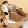 Botas de nieve de felpa de moda estilo coreano para mujer, botines con forro de polar estilo noreste a la moda, nueva colección de invierno 2026, botas de algodón engrosadas y cálidas