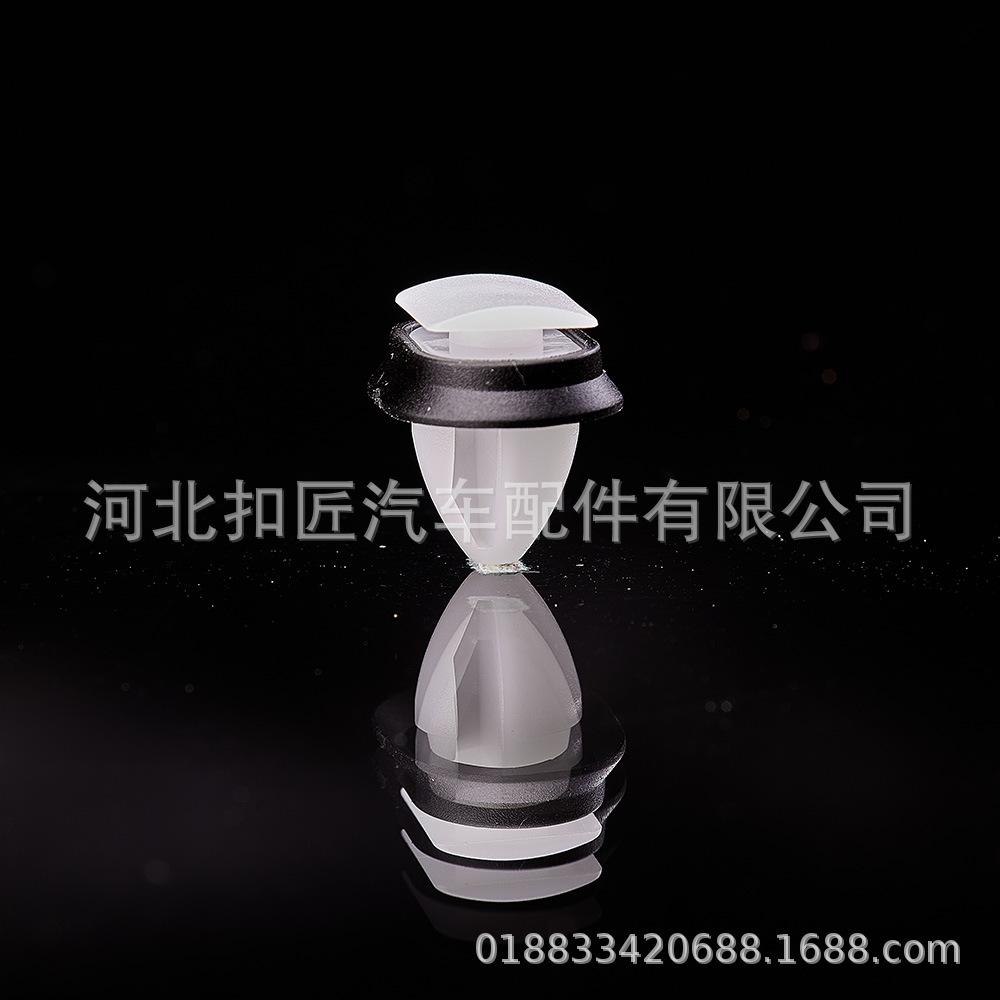 B54-3